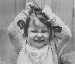 Foto principal do Post 3