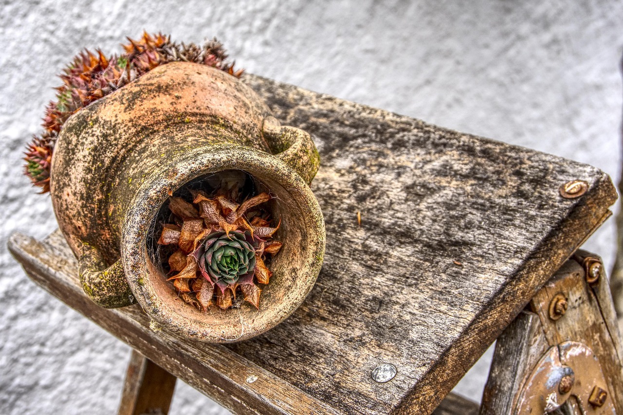 Foto principal do Post 65