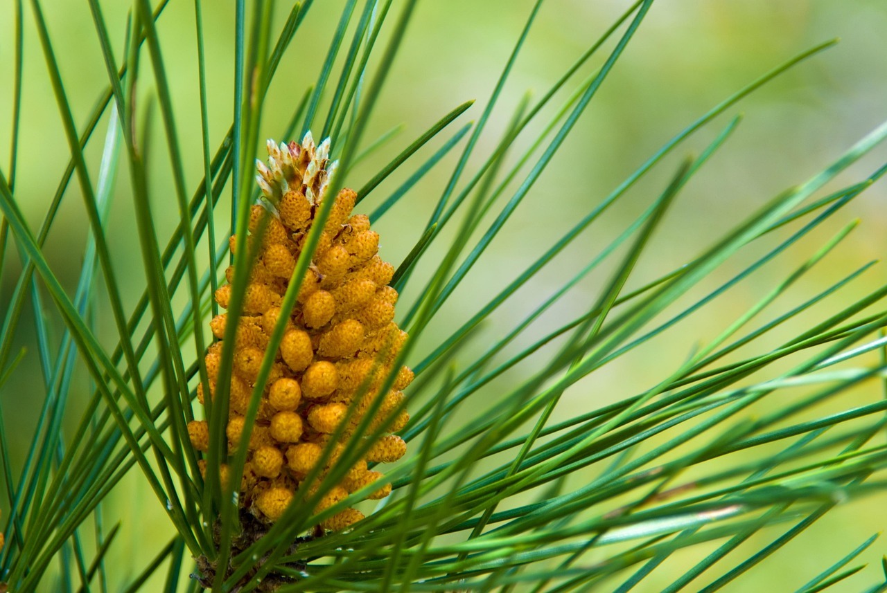 Foto principal do Post 73