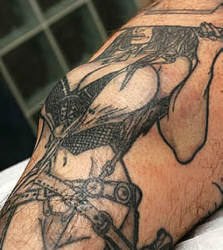 Foto principal do tema 1