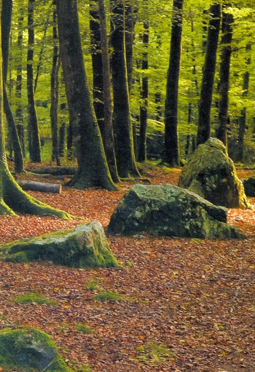 Foto extra 4 do tema 111