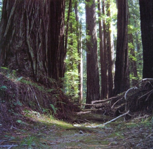 Foto principal do tema 111