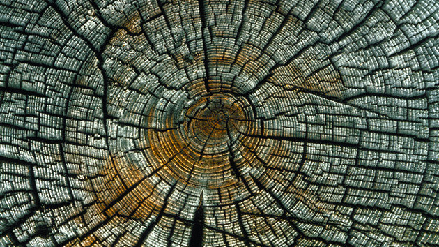 Foto extra 1 do tema 113