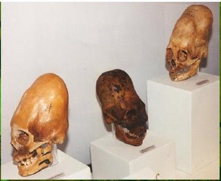 Foto extra 1 do tema 115