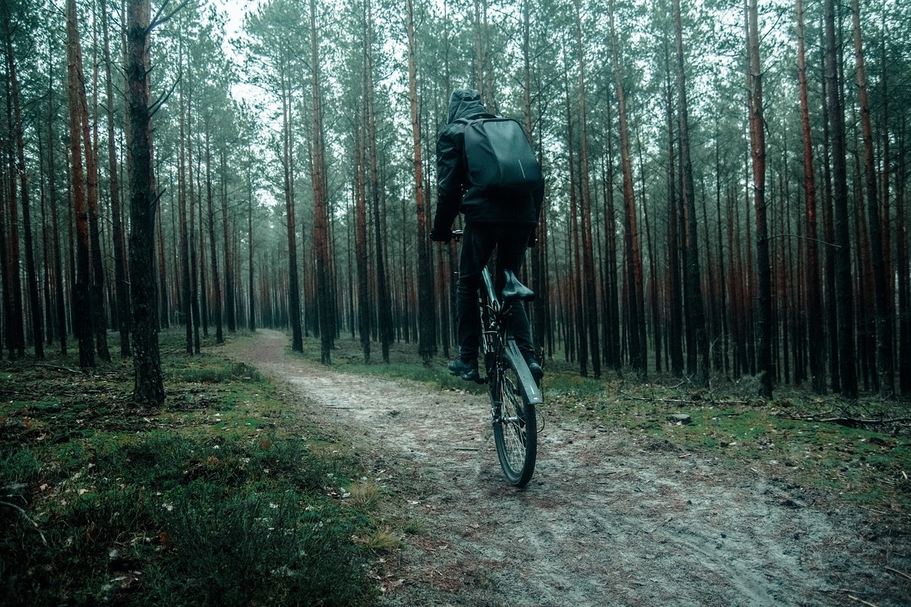 Foto principal do tema 148