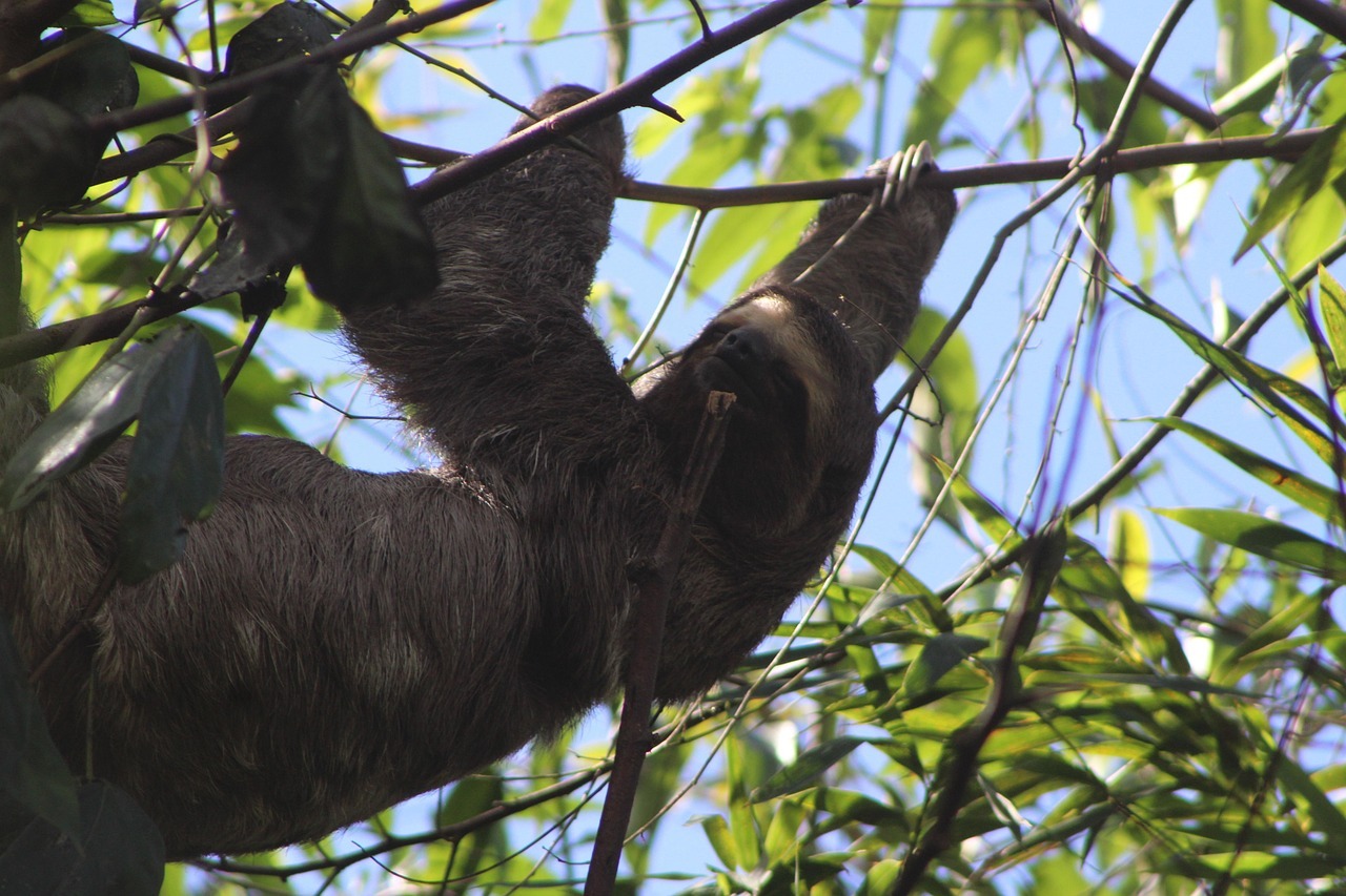 Foto principal do tema 151