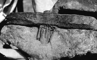 Foto principal do tema 240