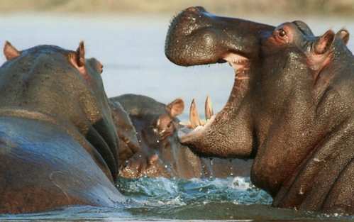 Foto principal do tema 62