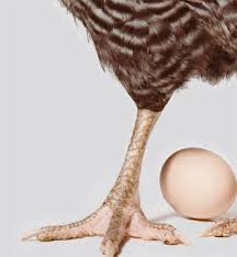 Foto extra 2 do tema 70