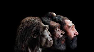 Foto principal do tema 79