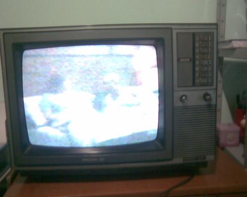 Foto principal do tema 81